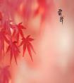 屬虎的人霜降節(jié)氣出生好不好命？屬虎出生時(shí)辰命運(yùn)如何？