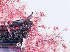 2022年屬豬哪天結婚好 屬豬2022年的結婚禁忌