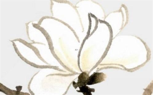 生肖鼠：春節前要出“大事”！ 身體欠安