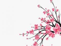 屬狗的2022年運(yùn)勢
