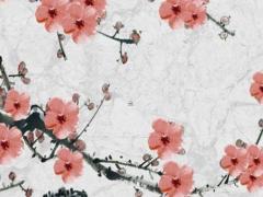 什么樣的八字婚姻會不順 什么樣的八字婚姻不順利