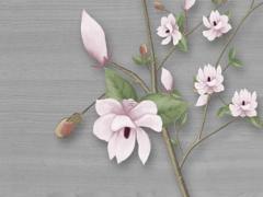 屬兔男找啥屬相的好呢,屬兔男找對(duì)象屬什么好