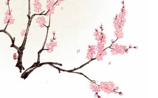 紅珠上下八字停代表什么動物 紅珠八字很稱心指什么生肖