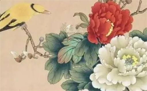 生存八字是什么 生存八字是什么生肖
