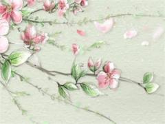 什么八字不會(huì)有太大成就 有沒有八字不好的成功人士