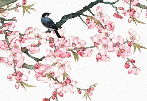 1月16日生日花：紅色野蕁麻花 1月16日的生辰花是什么