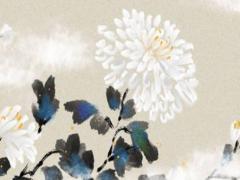 屬兔人和什么屬相最好 屬兔的人和什么屬相最合