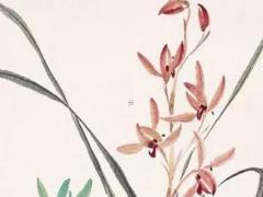 屬虎的跟屬猴的合不合財 屬虎的和屬猴的合不合適