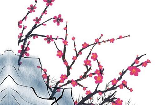 什么生肖的女人命最好 哪個生肖的女人命最好