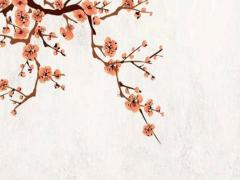 八字中的桃花代表什么 八字里桃花代表什么