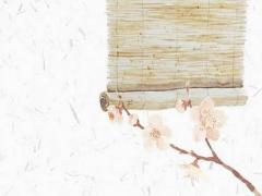 林姓女孩取名大全2019屬豬 林姓女孩取名大全免費