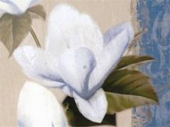 83年屬豬一生婚姻狀況,83年的豬婚姻穩(wěn)不穩(wěn)