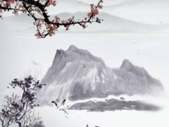 我媽說我的生辰八字較大 父母說生辰八字不合怎么反駁