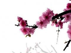 屬蛇家里玄關(guān)掛畫,屬蛇玄關(guān)適合擺放什么