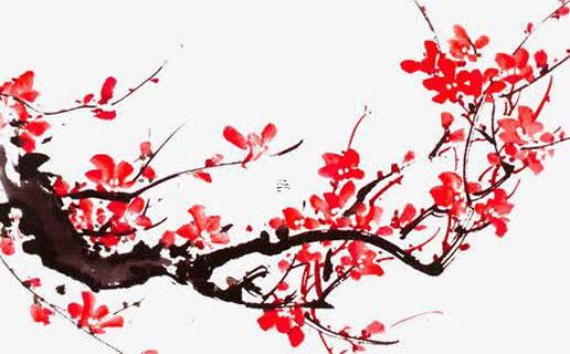 農歷2月20號是什么星座 陰歷二月20號是什么星座的