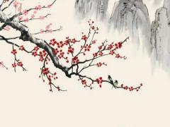 八字中什么干代表法律 八字中都有什么