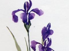 八字傷官偏官大富貴 傷官傷盡有偏官