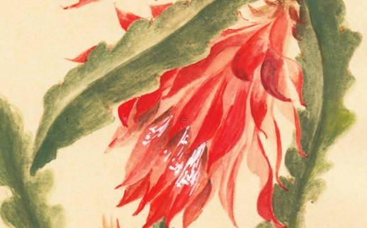 1957年屬猴人今年多大歲數，1957年猴五行屬什么
