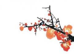 鼠和鼠的婚姻如何 96男鼠和96女鼠命合不合