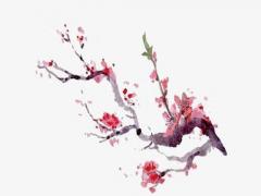 時辰八字的破什么意思 八字中的破是什么意思