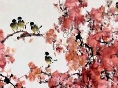 紫菜什么人不合適吃 紫菜什么人不宜吃