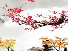 77年屬蛇的吉祥數(shù) 77年屬蛇的今年多大