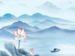 本命年兔女款棉襖可以穿嗎,屬兔女本命年戴什么轉運