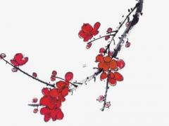 生辰八字看富貴 八字看富貴程度層次