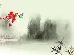 屬蛇的穿灰色好不好,屬蛇的穿什么顏色旺財(cái)