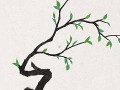 為什么命理師說我的八字看不了 給了八字說看不了