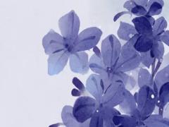 100分大吉手機號機號碼尾號 號碼吉兇100分的手機號