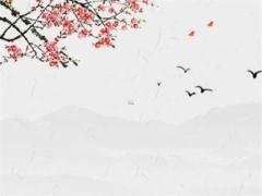 2024年屬兔開張喜日是哪天