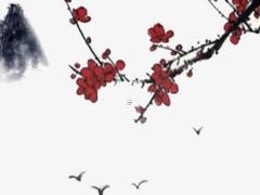 命運(yùn)就是如此的意思是什么 命運(yùn)是如此的相似