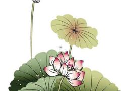 本命年兔適合戴什么女項(xiàng)鏈呢,兔年本命年女性佩戴什么好