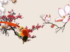 2025年吉日吉時的傳統習俗 了解吉日吉時的文化背景
