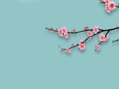 2025年出行吉日吉時(shí)解讀 如何根據(jù)生肖選擇出行時(shí)間