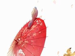 今年兔年哪些生肖犯太歲,今年屬兔的人犯太歲嗎那該怎么做