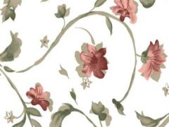 為什么屬兔本命年不能穿紅色鞋子,為何屬兔的不怕本命年