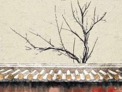 屬龍2012年出生今年幾歲,2012年屬龍的今年虛歲多大