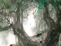 本命年兔帶三合珠好不好,本命年兔戴什么轉運