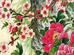 屬兔本命年需要戴什么東西辟邪,兔本命年戴什么轉運