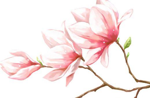 2025年5月好結婚證吉日測算 適宜哪日