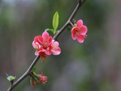 夢(mèng)見(jiàn)房頂