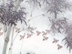 中華八字排盤系統(tǒng) 中華八字排盤預測