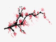 適合安葬的吉日 2025年4月哪天好