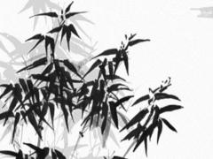 2025年5月出行最好吉利日子哪天好