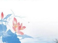 最佳結婚日查詢 2025年5月40日適合哪天