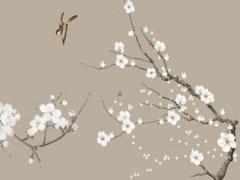 屬兔的人今年運氣好不好 屬兔的冬至過后運氣好不好