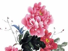 天蝎座每月運勢詳解,天蝎座的每月運勢