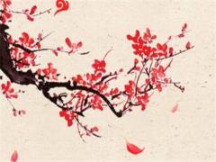 蛇年運(yùn)勢2025年運(yùn)勢如何 屬蛇人2025年蛇年全年運(yùn)勢